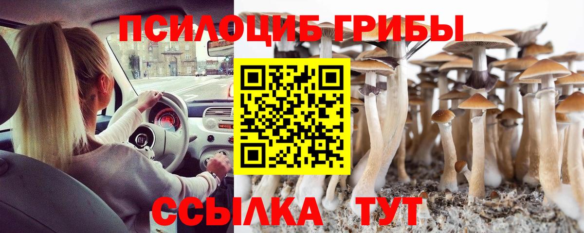 Галлюциногенные грибы GOLDEN TEACHER Шелехов